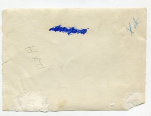 Бухара, слоны Бухарского эмира, знамя!