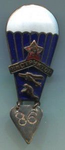 Инструктор парашютного спорта тип 1