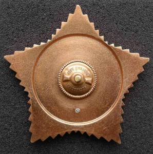 Почетный знак ДОСААФ для организаций