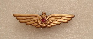 Знак летчик морской авиации