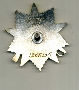 ОВ 2 ст. 1206135 с длинной площадкой под номером