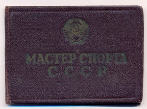 Мастер спорта по самолетному спорту+Безавар. налет...+докум.