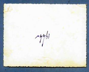 Капитан,подполковник и майор ж.д.войск. Знаки. 1944 г.