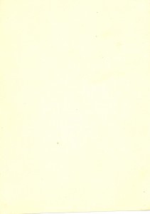 !Буденный С.М.!