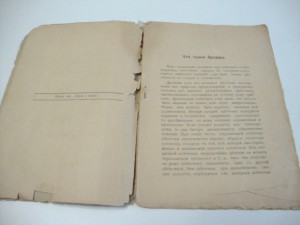 ДРОЖЖИ. Практическое руководство.  1912г. Шварц.