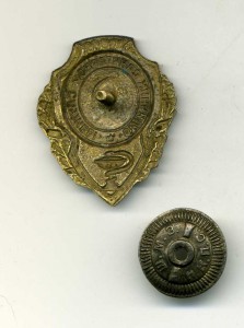 Отличник санитарной службы