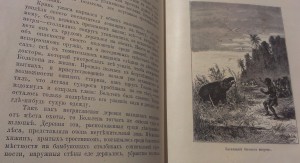 Корабль Натуралистов 1903