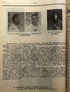 Министерство внутреннихъ делъ. ДЕПАРТАМЕНТ ПОЛИЦIИ 1913г.