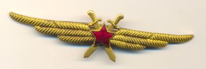 Знак классности (3505)