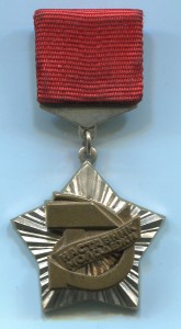 Знак ВЦСПС и ЦК ВЛКСМ Наставник молодежи с документом