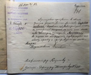 Побег каторжника из Новотроицкой тюрьмы 1910г.