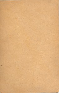 Шверник Н.М.Портрет