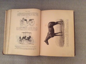 Врангель книга о лошади