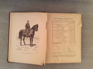 Врангель книга о лошади