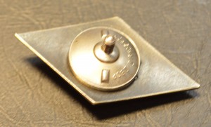 Университет 11 лент серебро люкс