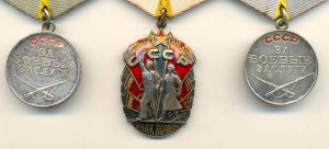 БЗ 2 шт на доках на одного, Знак почета на доке (3689)