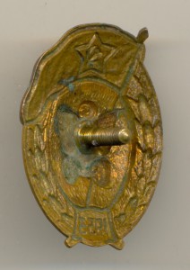 ВУ Автомобильное и автотракторное  (3696)