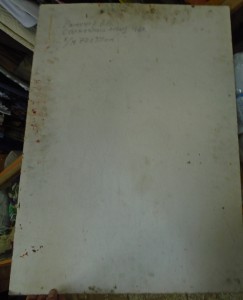 Раженер А.Н. Солнечный этюд масло/картон 1969 70х50 см