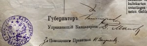 Паспорт на иностранца 1898г. Казань.