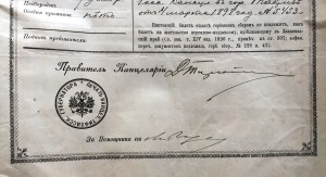 Паспорт на иностранца 1898г. Тифлис.