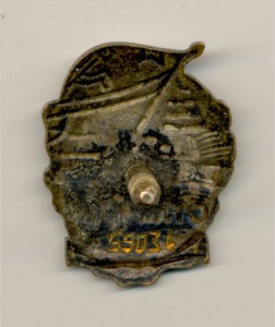 Отличник ВМФ (3745)