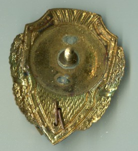 Отличный пожарник"Победа"