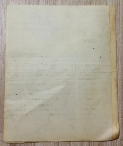 Подшивка документов полиции (жандармерии) 1899г.