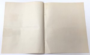 Страховое от огня товарищество САЛАМАНДРА. Удостов-ие 1889г.
