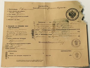 Три дореволюционных паспорта разных цветов одним ЛОТом!!
