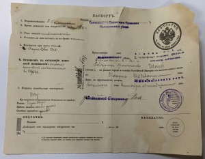 Три дореволюционных паспорта разных цветов одним ЛОТом!!