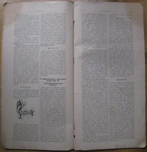 Человек, изображение его строения на 5 таблицах. 1907