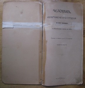 Человек, изображение его строения на 5 таблицах. 1907