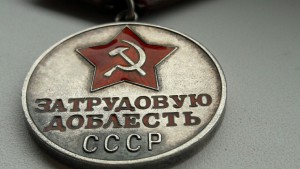 За Трудовую доблесть № 54***.