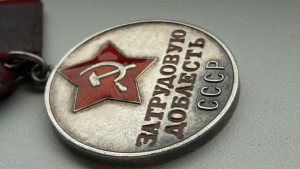 За Трудовую доблесть № 54***.