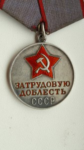 За Трудовую доблесть № 54***.