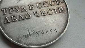 За Трудовую доблесть № 54***.