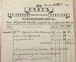 ЛЕСНАЯ ПРИСТАНЬ 1890 год.
