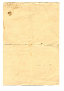 Южный бант (3909)