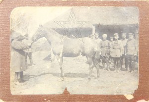 ★ ★ ★ Фотографии. Все направления! Тема пополняется.. ★ ★ ★