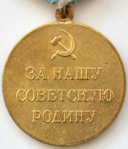 Заполярье сточенное ухо