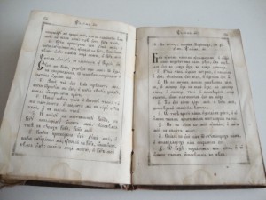 1873г. Псалтырь.