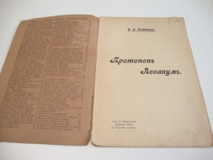 Житие аввакума им самим написанное краткое. Повесть житие протопопа Аввакума. Житие протопопа Аввакума картины. Житие протопопа Аввакума 17 век. Кизеветтер.