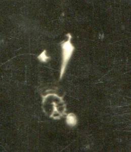 Летчик, курсант?