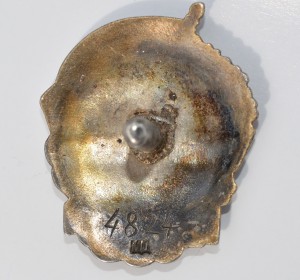 Отличник ВМФ серебро