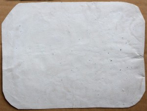 IX Армия - Группа военных с газетами Дон и Красноармеец