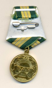 БАМ (3991)