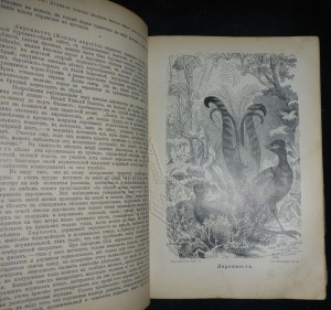 ★ ★ ★ Книги. Все направления! Тема пополняется.. ★ ★ ★