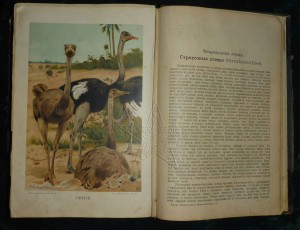 ★ ★ ★ Книги. Все направления! Тема пополняется.. ★ ★ ★