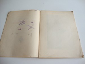 1910г. Иллюстрированное Описание Новой Библиотеки Конгресса