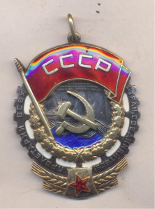 Трудовик 307113